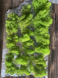 Стабилизированный мох ягель Nordic moss Зеленый травяной светлый 100 грамм фото от покупателей 17