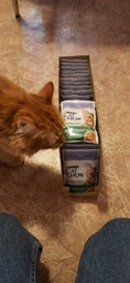 Упаковка влажного корма для взрослых стерилизованных кошек Purina Cat Chow Sterilised с ягненком и зеленой фасолью 85 г х 26 шт фото от покупателей 8