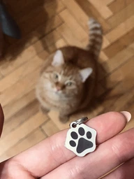 Адресник для Котов BronzeDog из Нержавеющей Стали Лапка Серебристый 20*20 мм (90371) фото от покупателей 4
