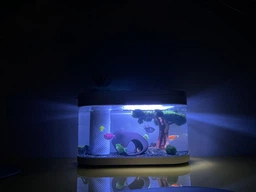 Аквариум Xiaomi Geometry Fish Tank Aquaponics Ecosystem 10 л White HF-JHYG001 (2001000011650) фото от покупателей 1