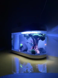 Аквариум Xiaomi Geometry Fish Tank Aquaponics Ecosystem 10 л White HF-JHYG001 (2001000011650)