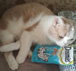 Упаковка лакомств для котов Dreamies с лососем 6 шт по 60 г (4008429037955) фото от покупателей 3