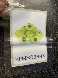 Ламінатор A4 Esperanza EFL001 Infinity фото від покупців 7