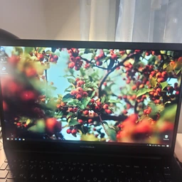Ноутбук ASUS VivoBook 15 K513EQ-BN335 (90NB0SK1-M04320) Indie Black