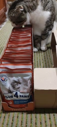 Вологий корм для кішок Club 4 Paws Premium Плюс з лососем в желе, 85 г фото від покупців 6