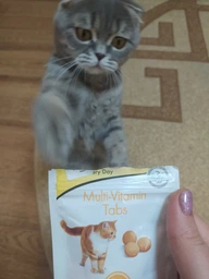 Ласощі Gimborn Every Day Multivitamin для котів 40 г (4002064418704 / 4002064421681)