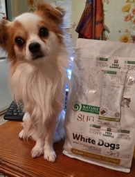 Сухой беззерновий корм Nature's Protection Superior Care White Dogs Grain Free Adult Small and Mini Breeds для взрослых собак малых пород с белой окраской шерсти, с белой рыбой, 17 кг фото от покупателей 4