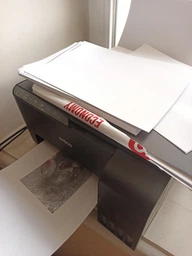 БФП Epson L3150 with WiFi (C11CG86409) фото від покупців 2