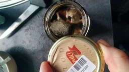 Маслины черные без косточки Diva Oliva Gold 370 мл (5060235651304)
