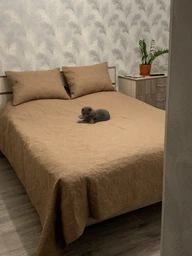 Набор ТЕП Винтаж Покрывало Vintage 240x260 см + Наволочка 50x70 см 2 шт Кофейный/Аравийская ночь (4-00513_22201) (2000008656269) фото от покупателей 1