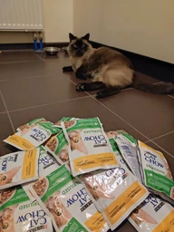Упаковка влажного корма для взрослых стерилизованих кошек Purina Cat Chow Sterilised с курицей и баклажанами 85 г х 26 шт фото от покупателей 2