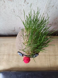Набор для выращивания Grow Grass man Травянчик (UFTGG) фото от покупателей 5