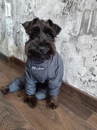 Комбінезон Pet Fashion COLD для собак сірий 5XL фото від покупців 4