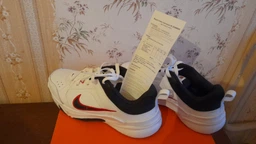 Мужские кроссовки кожаные Nike Defyallday DJ1196-100 44.5 (10.5) 28.5 см Белый/Синий (195237090198)