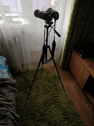 Штатив любительский Photex FT3110 Black (95462)