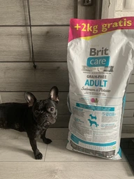 Сухой корм для собак малых и средних пород Brit Care Dog Grainfree Adult беззерновой 12 кг