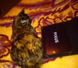 Планшет Pixus Vision 10.1 4G 2/16GB фото от покупателей 5