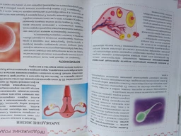 О теле человека - Жабская Т.С. (на русском языке) (9786177292554)
