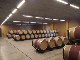 Вино Torres Vina Esmeralda белое сухое 0.75 л (8410113001122_2233764337640)