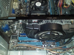 Видеокарта Gigabyte PCI-Ex GeForce GT 1030 Low Profile 2GB GDDR5 (64bit) (1227/6008) (DVI, HDMI) (GV-N1030D5-2GL) фото от покупателей 18