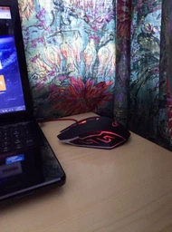 Миша Gembird MUSG-001-R червона USB фото від покупців 4