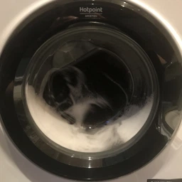 Пральна машина вузька HOTPOINT ARISTON RSSG 603 B EU фото від покупців 11