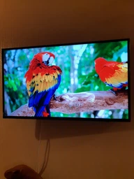 Телевизор Skyworth 43G6 фото от покупателей 5