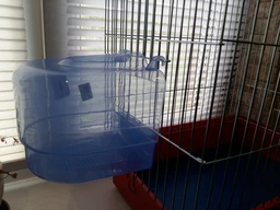 Бассейн для птиц Trixie 15х16х17 см голубой (4011905540320) фото от покупателей 17