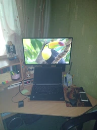 Монитор 27" Dell P2717H (210-AIRY) фото от покупателей 7