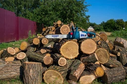 Пила ланцюгова Зеніт ЦПЛ - 4026 А (843863) фото від покупців 8