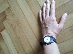 Годинник Casio AW-49H-7BVEF фото від покупців 4