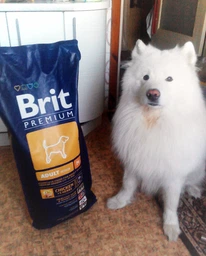 Сухой корм Brit Premium Dog Adult M для собак средних пород с курицей 15 кг фото от покупателей 14
