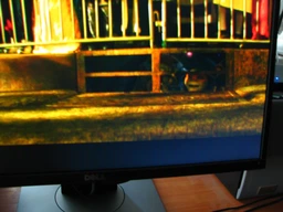 Монитор 23" Dell P2317H (210-AJEG) фото от покупателей 8