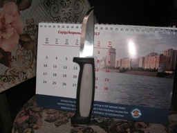 Ніж Morakniv Pro Robust вуглецева сталь (12249) фото від покупців 1