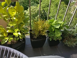 Розумний вазон Plastkon Water Flower Lover антрацит 3 л фото від покупців 19