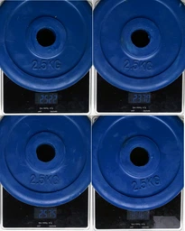 Домашний гантельный набор 20 кг FitLogic Home Dumbbell Rubber Set Box (DB509) фото от покупателей 4