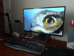 Монитор 27" Dell SE2717H Silver-Black (210-AJVN) фото от покупателей 19