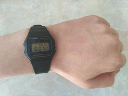 Часы Casio W-59-1VQES фото от покупателей 3