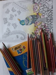 Карандаши цветные BIC Tropicolor 24 цвета (3270220022510) фото от покупателей 1