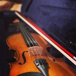 Скрипка STENTOR 1500/F STUDENT II VIOLIN OUTFIT 1/4 фото от покупателей 7