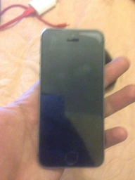 Мобильный телефон Apple iPhone 5s 16GB Gold фото от покупателей 3