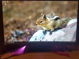 Монитор 27" Acer Predator XB271HUTbmiprz (UM.HX1EE.T01)