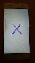 Мобильный телефон Sony Xperia X Dual (F5122) White фото от покупателей 2