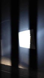 Прожектор світлодіодний Enerlight MANGUST 20 Вт 6500K