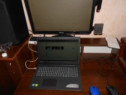 Ноутбук Lenovo IdeaPad 320-15IKB (80XL03GMRA) Platinum Grey фото от покупателей 15