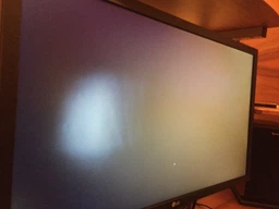 Монитор 24" LG UltraGear 24GM79G-B фото от покупателей 1