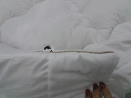 Одеяло шерстяное MirSon Mikrosatin Gold Woolen Hand Made 169 зима 140x205 см (2200000460455) фото от покупателей 16