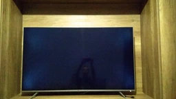 Телевизор TCL 55DP660 + 0% Кредит на 10 мес! фото от покупателей 15