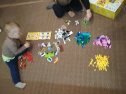Конструктор LEGO Classic Набір для творчого конструювання 502 деталі (10703) фото від покупців 2