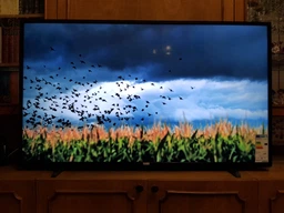 Телевизор Philips 4K 43PUS6503/12 фото от покупателей 12
